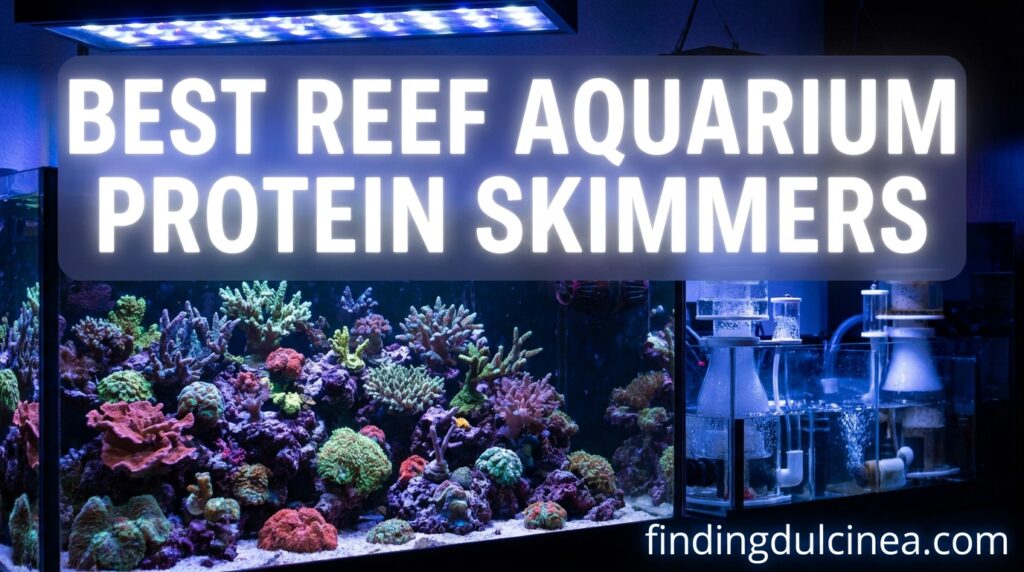 Current image: Best Reef Aquarium Protein Skimmers