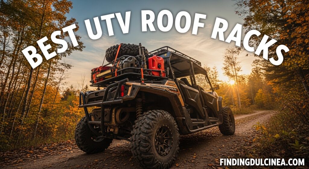 Current image: Best UTV Roof Racks