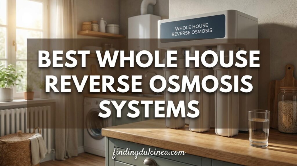 Current image: Best Whole House Reverse Osmosis Systems
