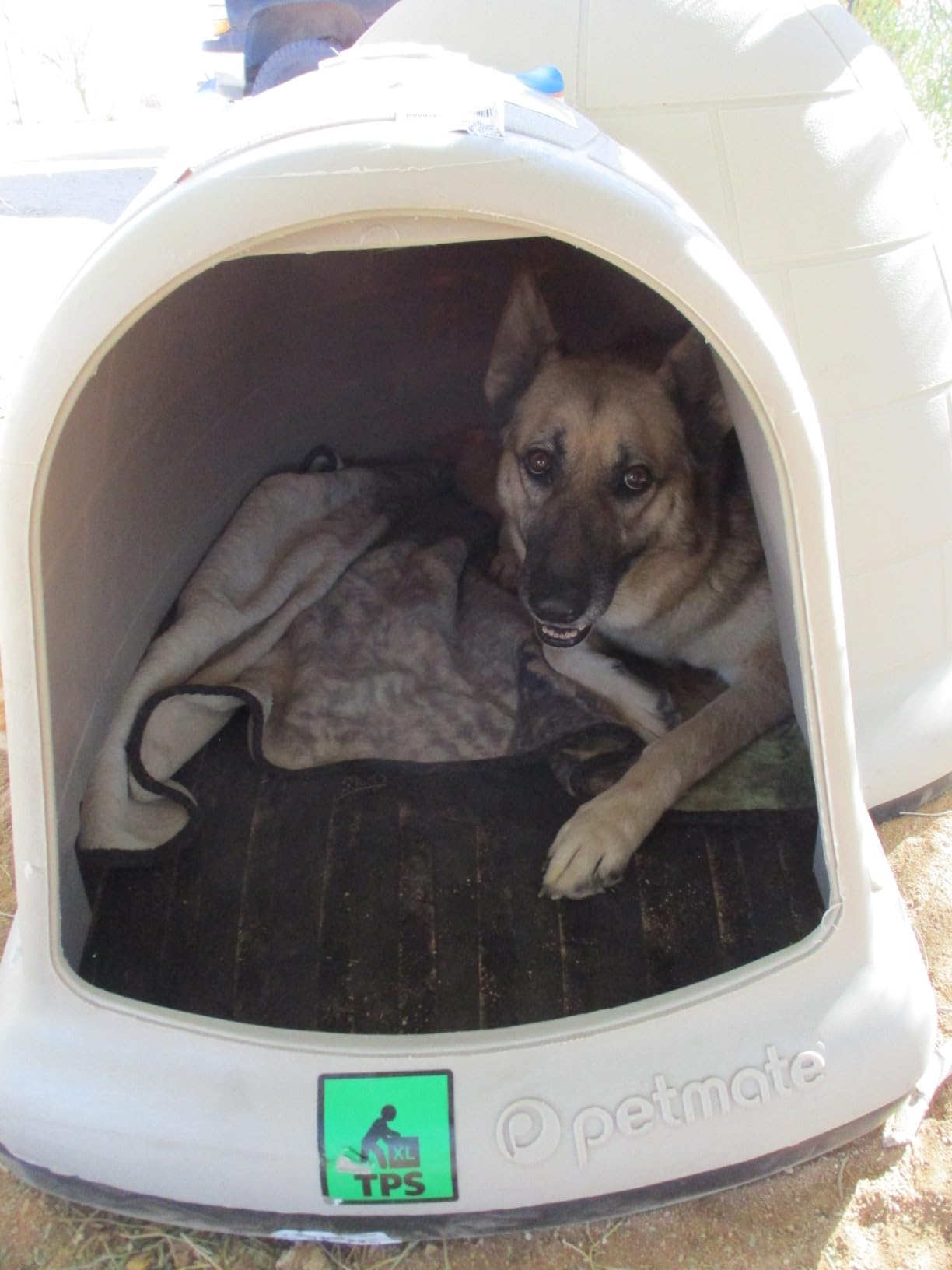 Petmate Large Dog House Outdoor Weatherproof - Indigo Igloo Dog House, Made in USA, for Large Dogs 50 to 90 pounds, TAUPE/BLACK customer photo 1