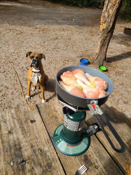 Coleman BottleTop Propane Stove with Adjustable Burner, Portable Camping/Backpacking Cooker with 7650 BTUs of Power for Camping, Tailgating, Grilling, & More customer photo 2