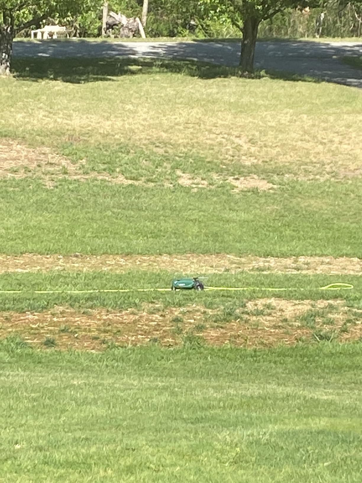 Orbit Traveling Tractor Water Sprinkler - Self-Propelled Traveling Sprinkler for Wide Lawn Coverage - Cast-Iron Body with Adjustable Coverage - Three-Speed - Automatic Shut Off - 58322 customer photo 1
