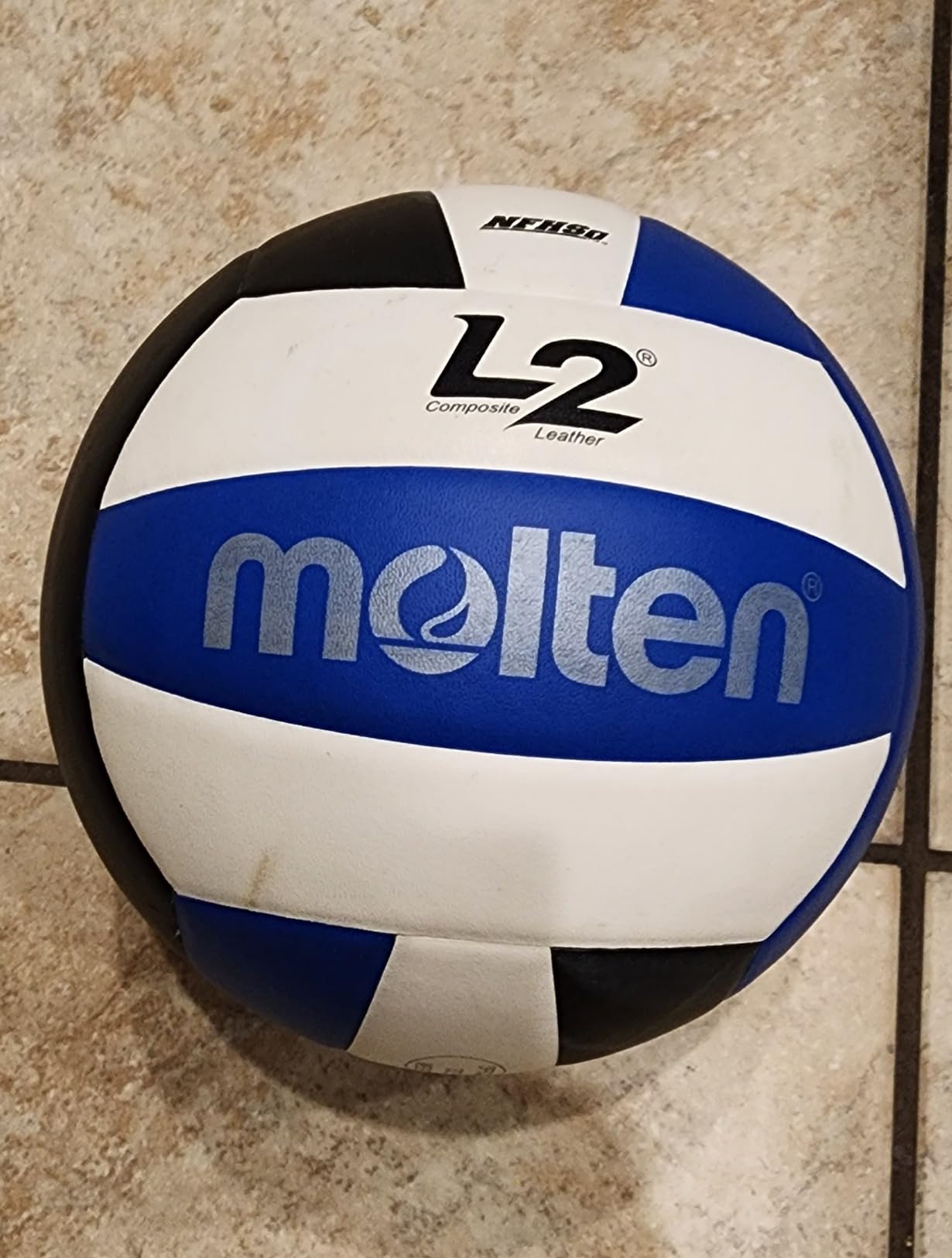Molten L2 Volleyball, NFHS Approved customer photo 1