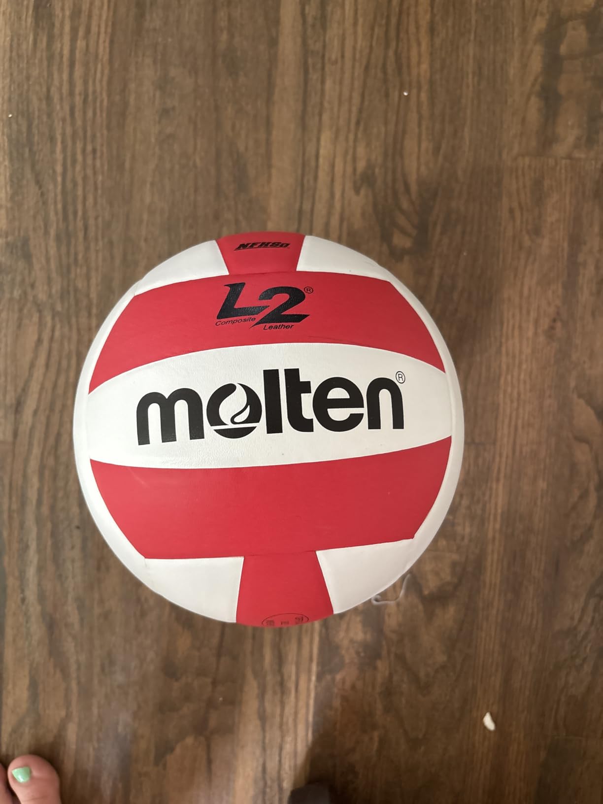 Molten L2 Volleyball, NFHS Approved customer photo 2