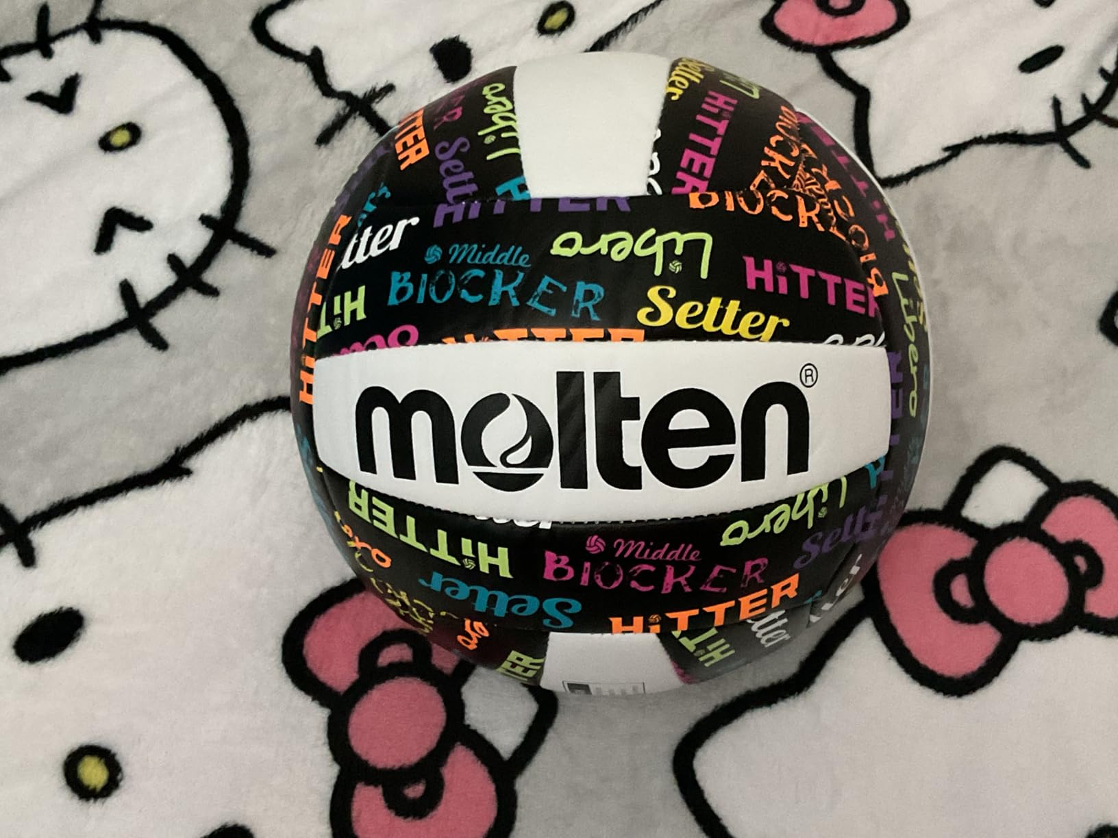 Molten Recreational Volleyball customer photo 1
