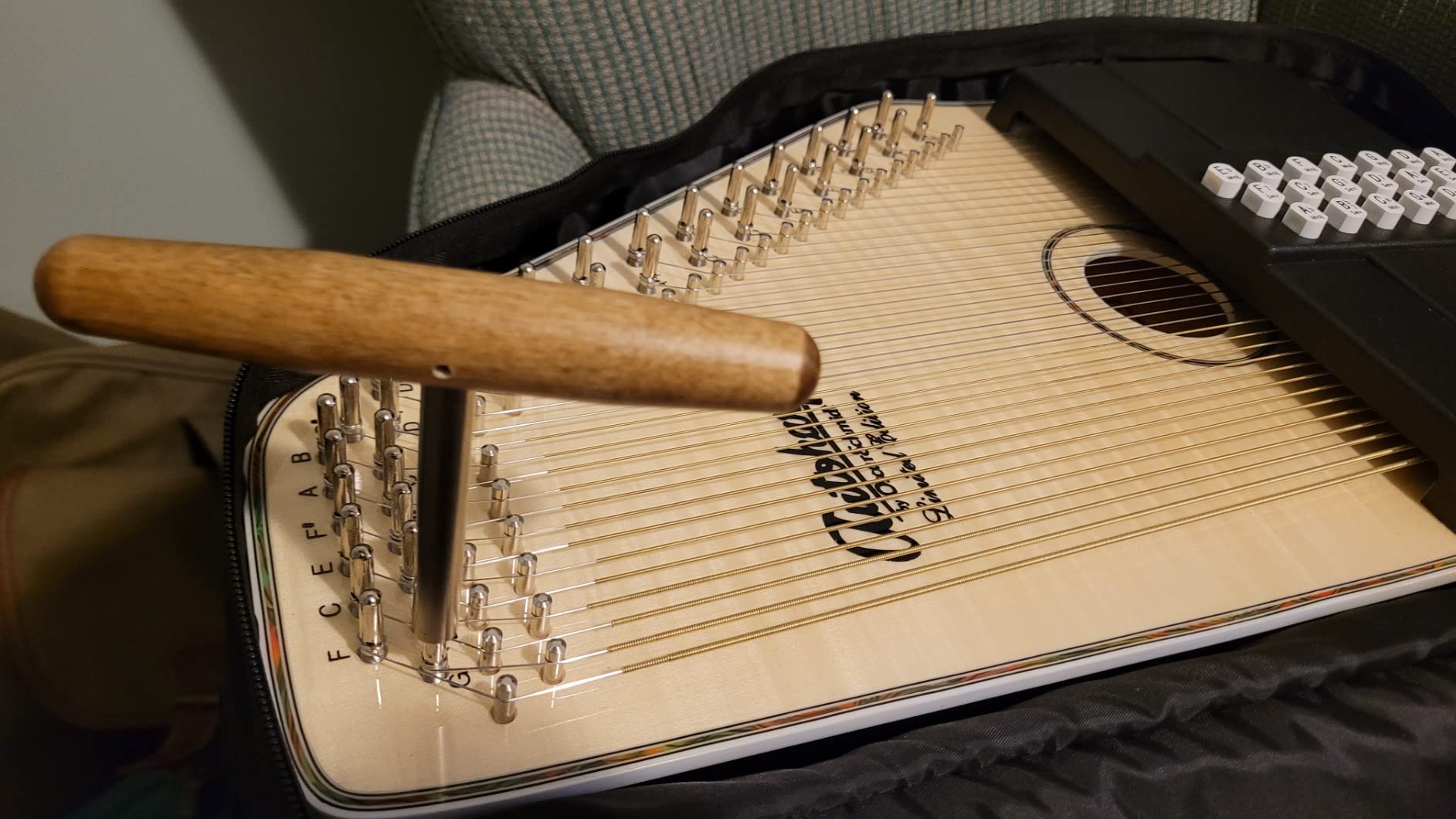 Oscar Schmidt OS11021FNE 21 Chord Acoustic Electric Auto Harp. Flame Maple customer photo 1