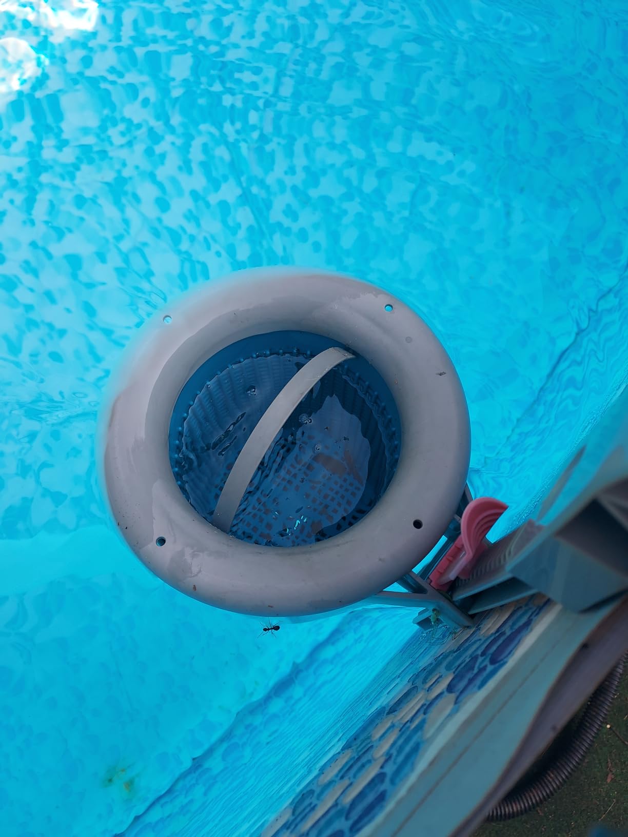 Doheny's 1.5 HP Above Ground Swimming Pool Pump customer photo 1