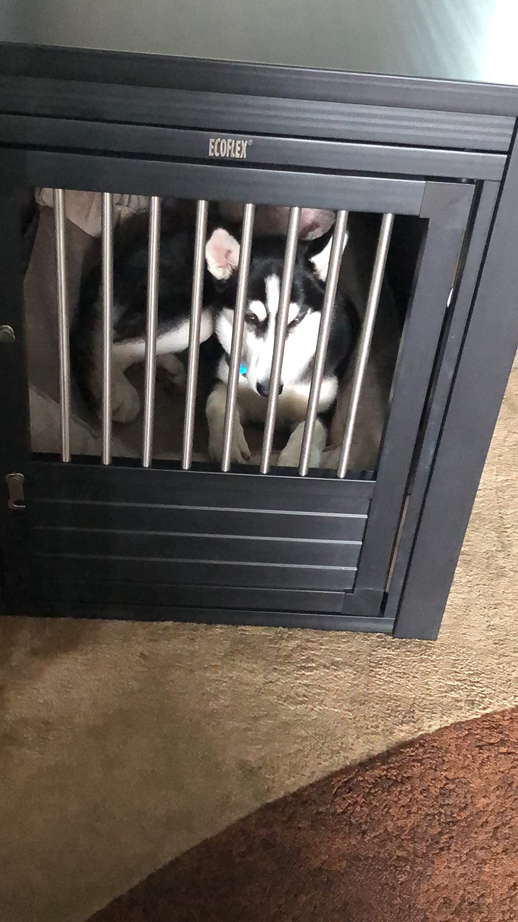 New Age Pet ECOFLEX InnPlace Dog Crate & End Table, Furniture-Style Indoor Kennel for Crate-Trained Dogs, Stainless Steel Spindles, 10-Year Warranty. 4 Colors, 4 Sizes customer photo 1