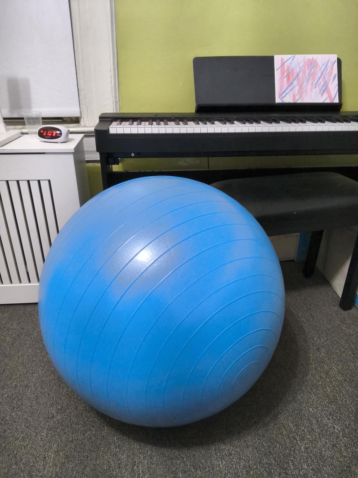 ProBody Pilates Exercise Ball - Multiple Sizes Gym Grade Balance Ball for Fitness, Yoga, Workout, Pregnancy & Physical Therapy customer photo 2