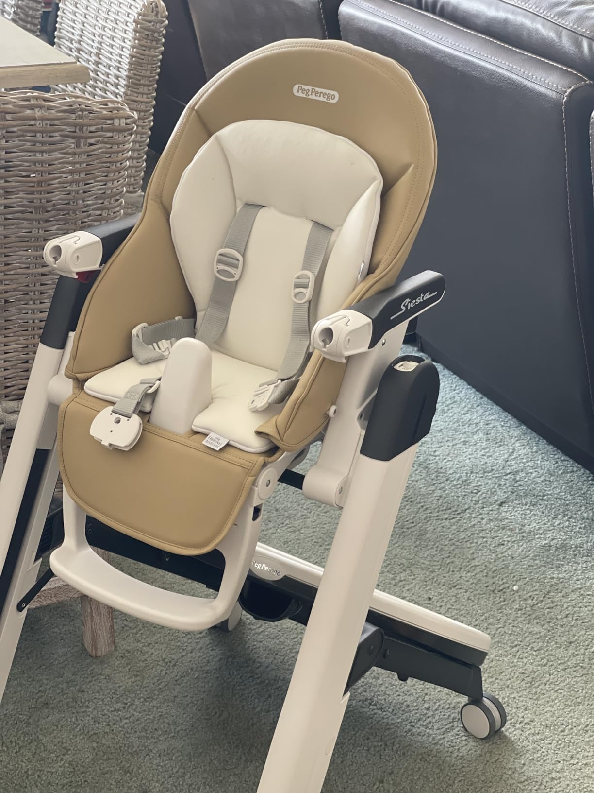Peg Perego Siesta, Grow With Baby Folding High Chair and Recliner, Height Adjustable, Quick Clean and Easy Push Wheels For Babies and Toddlers, Made in Italy, Ice (Grey) customer photo 2