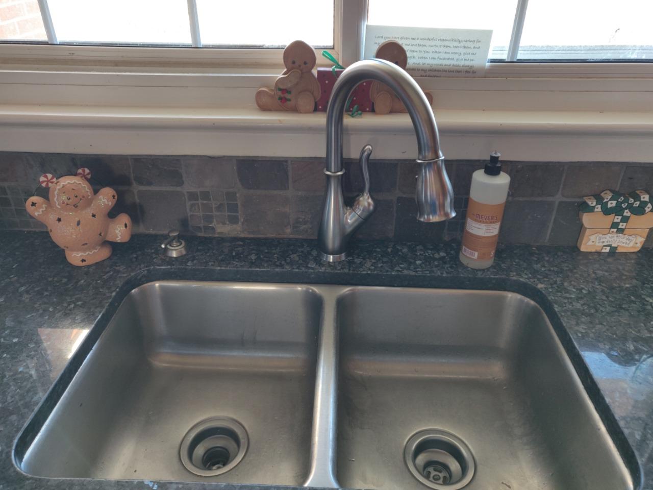 Delta Leland Brushed Nickel Kitchen Faucet with Pull Down Sprayer, Traditional Single Hole Kitchen Sink Faucet, Single Handle, SpotShield Stainless 9178-SP-DST customer photo 1