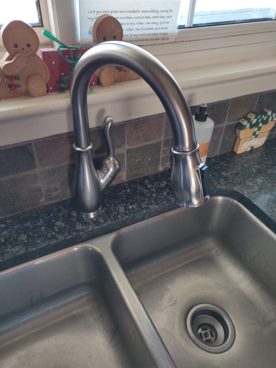 Delta Leland Brushed Nickel Kitchen Faucet with Pull Down Sprayer, Traditional Single Hole Kitchen Sink Faucet, Single Handle, SpotShield Stainless 9178-SP-DST customer photo 2