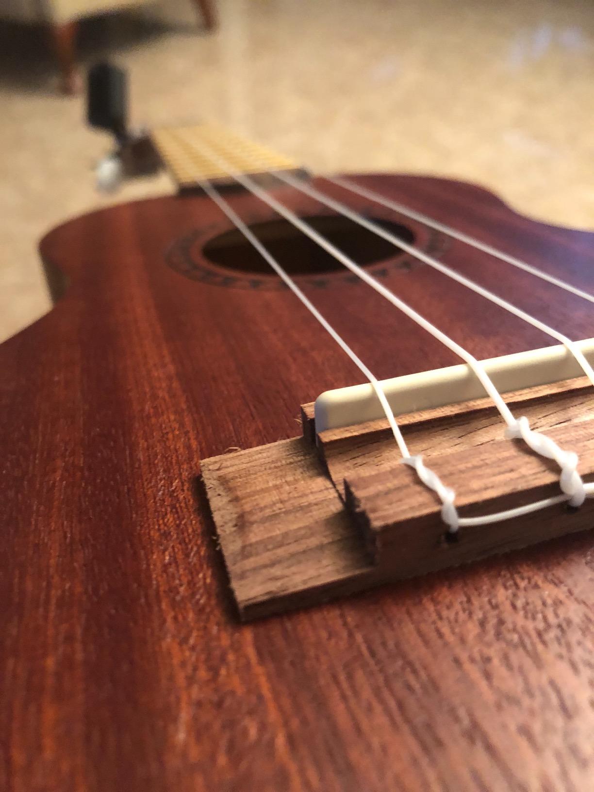 Kala KA-15C Satin Mahogany Concert Ukulele Bundle with Hard Case, Tuner, Strap, Strings, Austin Bazaar Instructional DVD, and Polishing Cloth customer photo 2