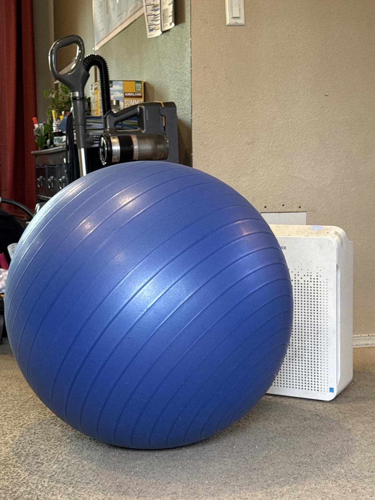 Trideer Exercise Ball for Yoga, Pilates & Fitness - Stability Ball Equipment for Home Gym & Office Chair, Core & Balance Training Accessories, Physical Therapy Equipment, Quick Pump Included, 5 Sizes customer photo 2