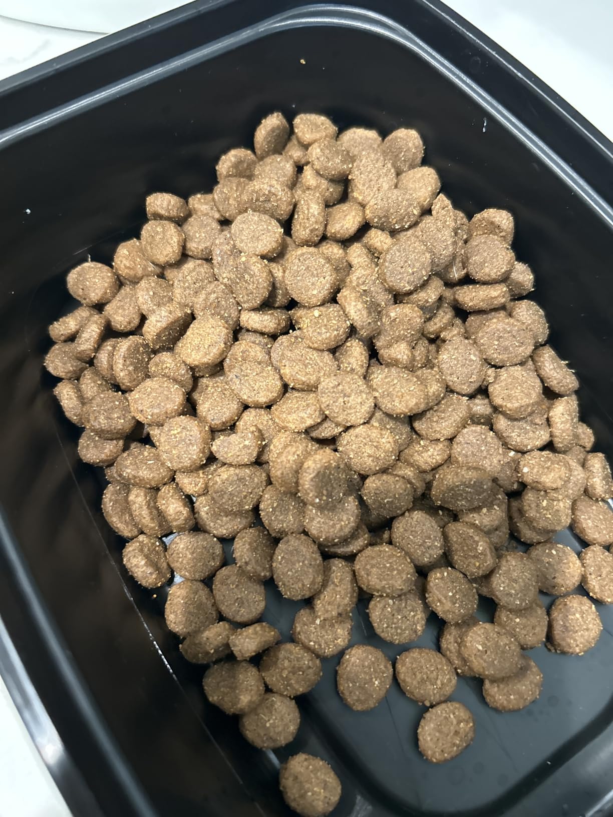 Taste of the Wild High Prairie Canine Grain-Free Recipe with Roasted Bison and Venison Adult Dry Dog Food, Made with High Protein from Real Meat and Guaranteed Nutrients and Probiotics, 28lb customer photo 2