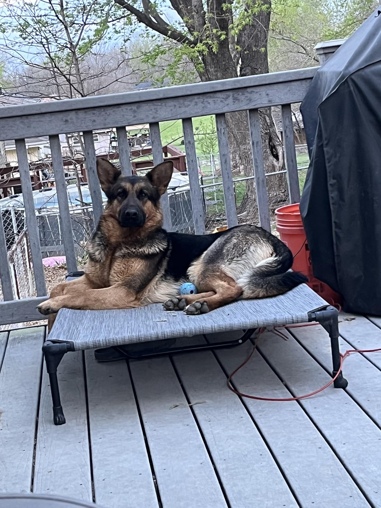Veehoo Outdoor Elevated Dog Bed Large Sized Dogs, XL Cooling Raised Dog Cots Beds Training Platform Off Ground Hammock with Breathable Mesh, No-Slip Feet, 49