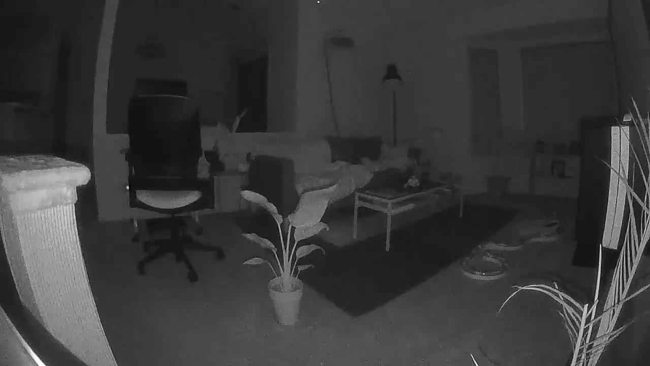 Petcube Play 2 Wi-Fi Pet Camera with Laser Toy for Cats & Dogs, 1080P HD Video, 160° Full-Room View, 2-Way Audio, Sound/Motion Alerts, Night Vision, Pet Monitoring App customer photo 2