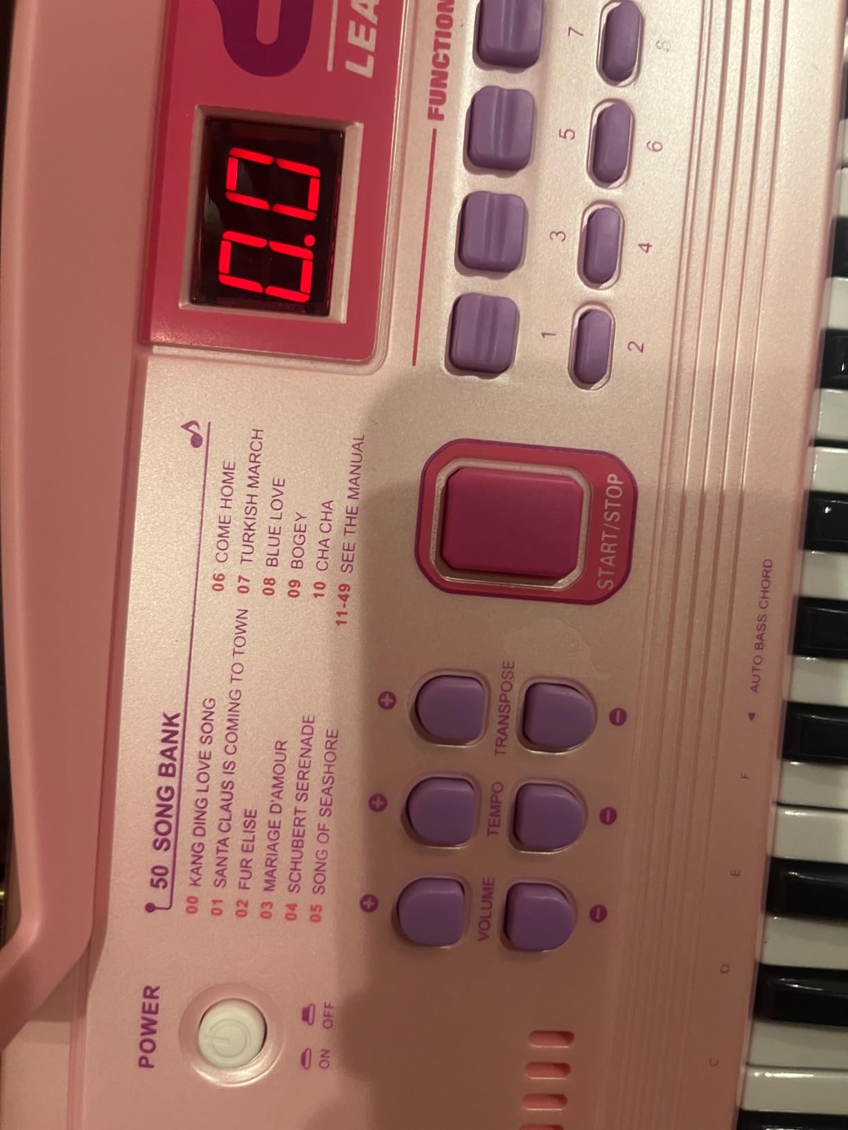 WOSTOO 61 Key Piano Keyboard for Kids, Portable 24.6-Inch Electronic Digital Piano with Follow Teaching Mode, Microphone & Recording, Pink customer photo 2
