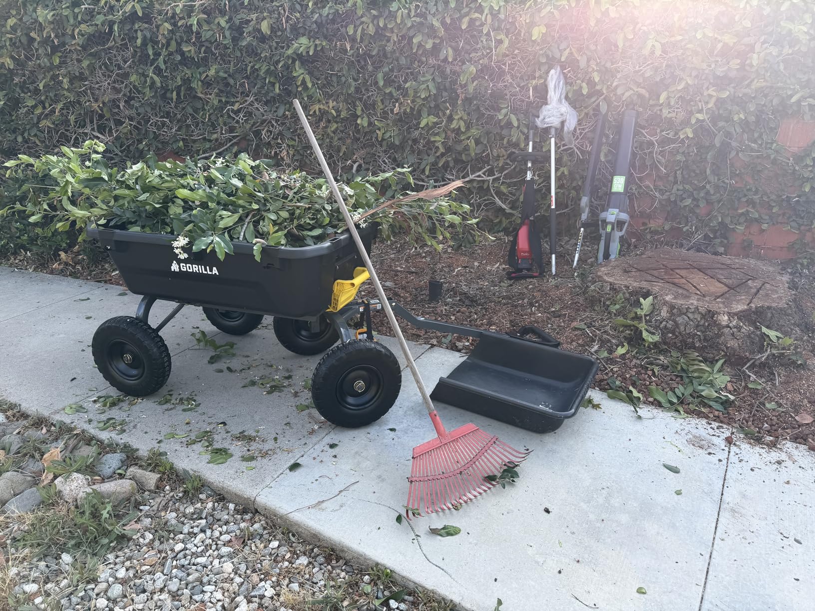 Gorilla Carts 7GCG-NF Heavy-Duty Poly Dump Garden Cart with No-Flat Tires, 7 Cubic Feet, 1200-Pound Capacity, Black, Amazon Exclusive customer photo 2