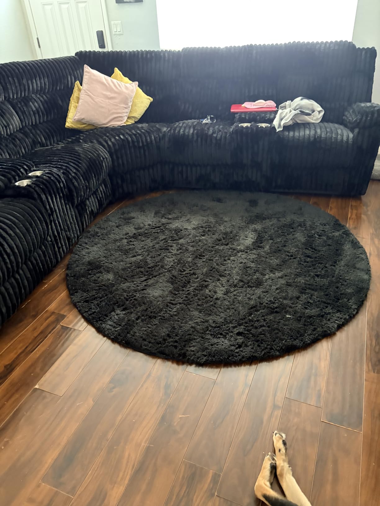 Ophanie Area Rugs for Living Room Bedroom, Washable Non-Slip Fluffy Soft Grey Shag Carpet, Indoor Floor Gray 4x6 Fuzzy Shaggy Living Room Plush Rug for Kids Home Dorm Decor Aesthetic customer photo 2