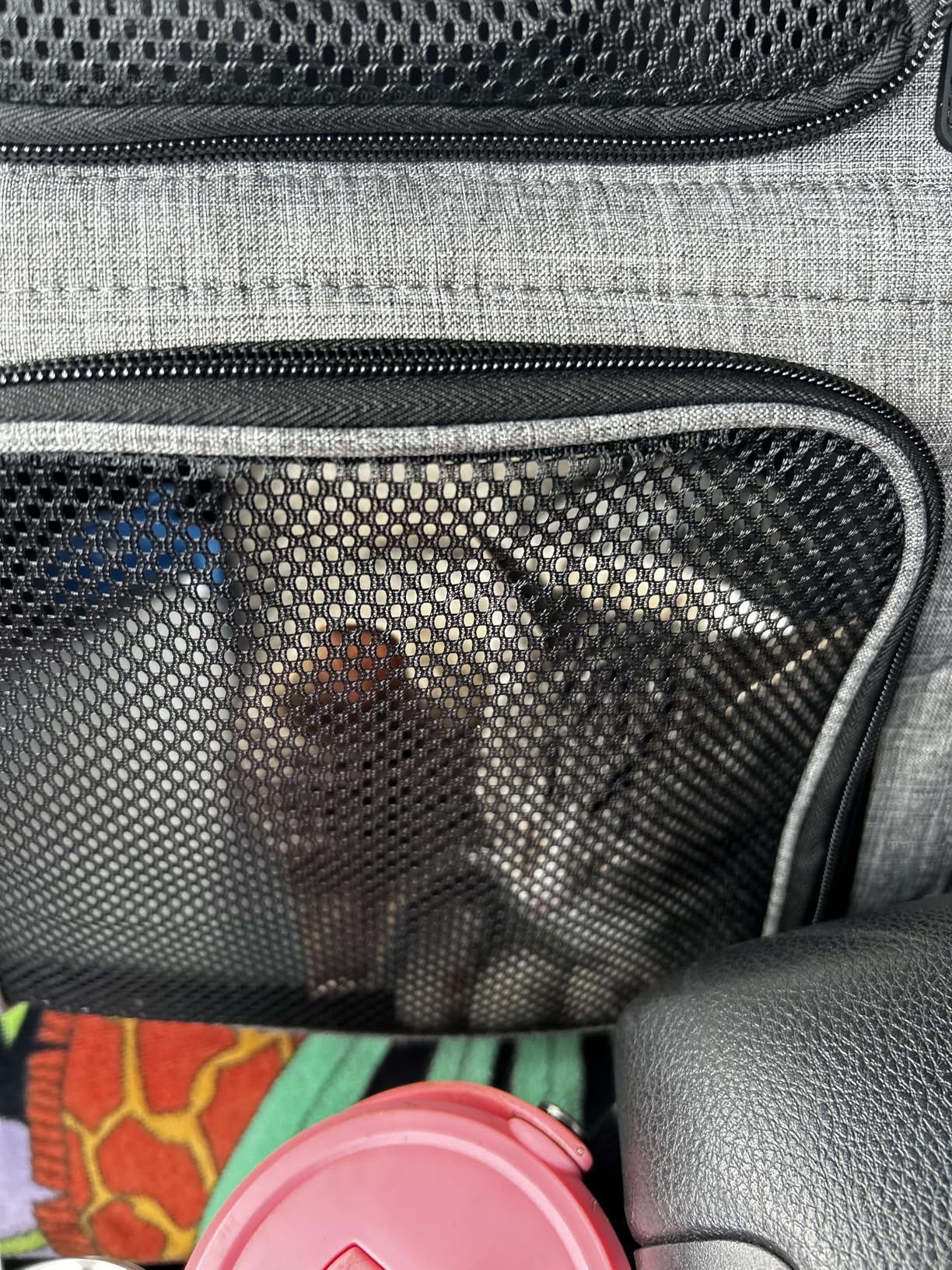pecute Cat Backpack Expandable, Cat Carrier Backpack with Breathable Window customer photo 2