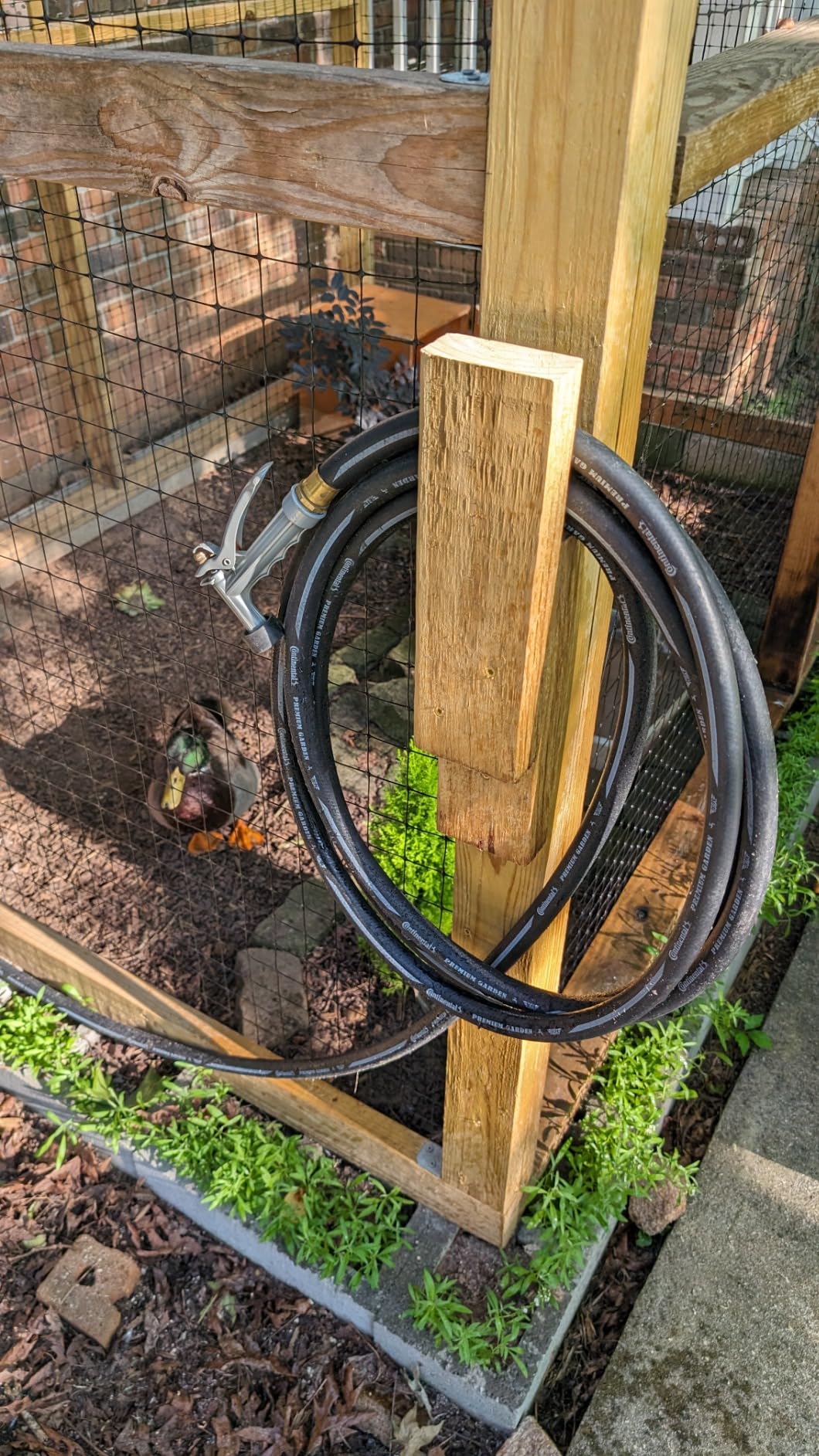 Continental Premium Garden Black Heavy Duty Cold Water Garden Hose, 5/8in Inside Diameter x 100ft Length customer photo 1