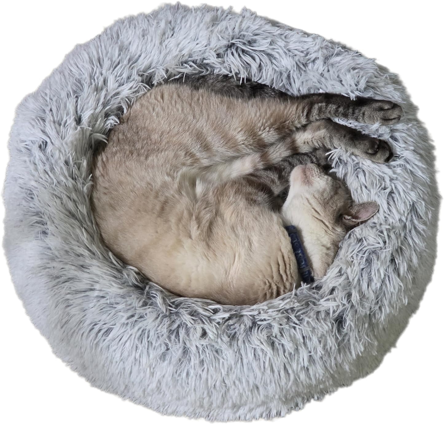 WESTERN HOME WH Calming Soft Round Dog & Cat Bed, Anti-Anxiety Donut Cuddler Warming Cozy Fluffy Faux Fur Plush Cushion Bed for Small Medium Dogs and Cats (20