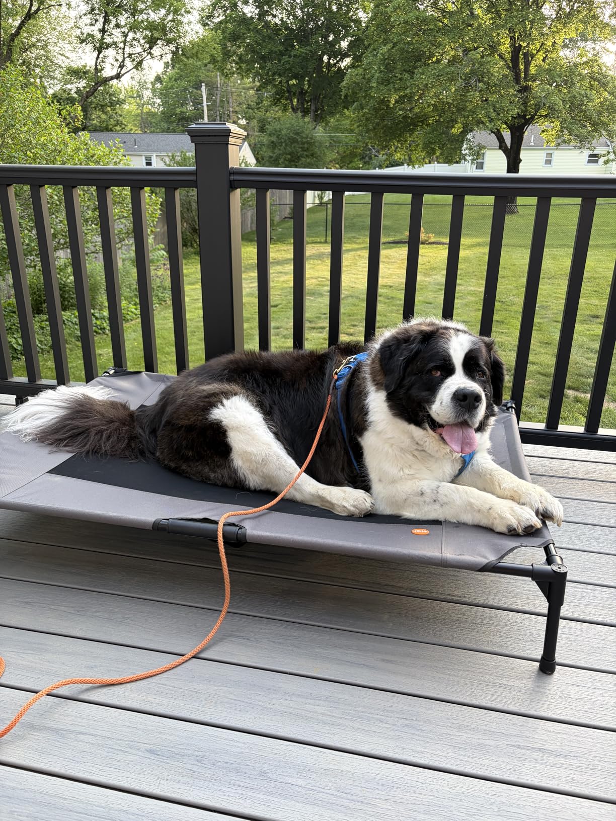 K&H Outdoor Elevated Dog Bed - Cooling Raised Dog Bed for Small & Medium Pets, Breathable Mesh Hammock Design, Indoor/Outdoor Washable Cover, Portable Metal Frame, Tan, Medium 32x25in customer photo 2