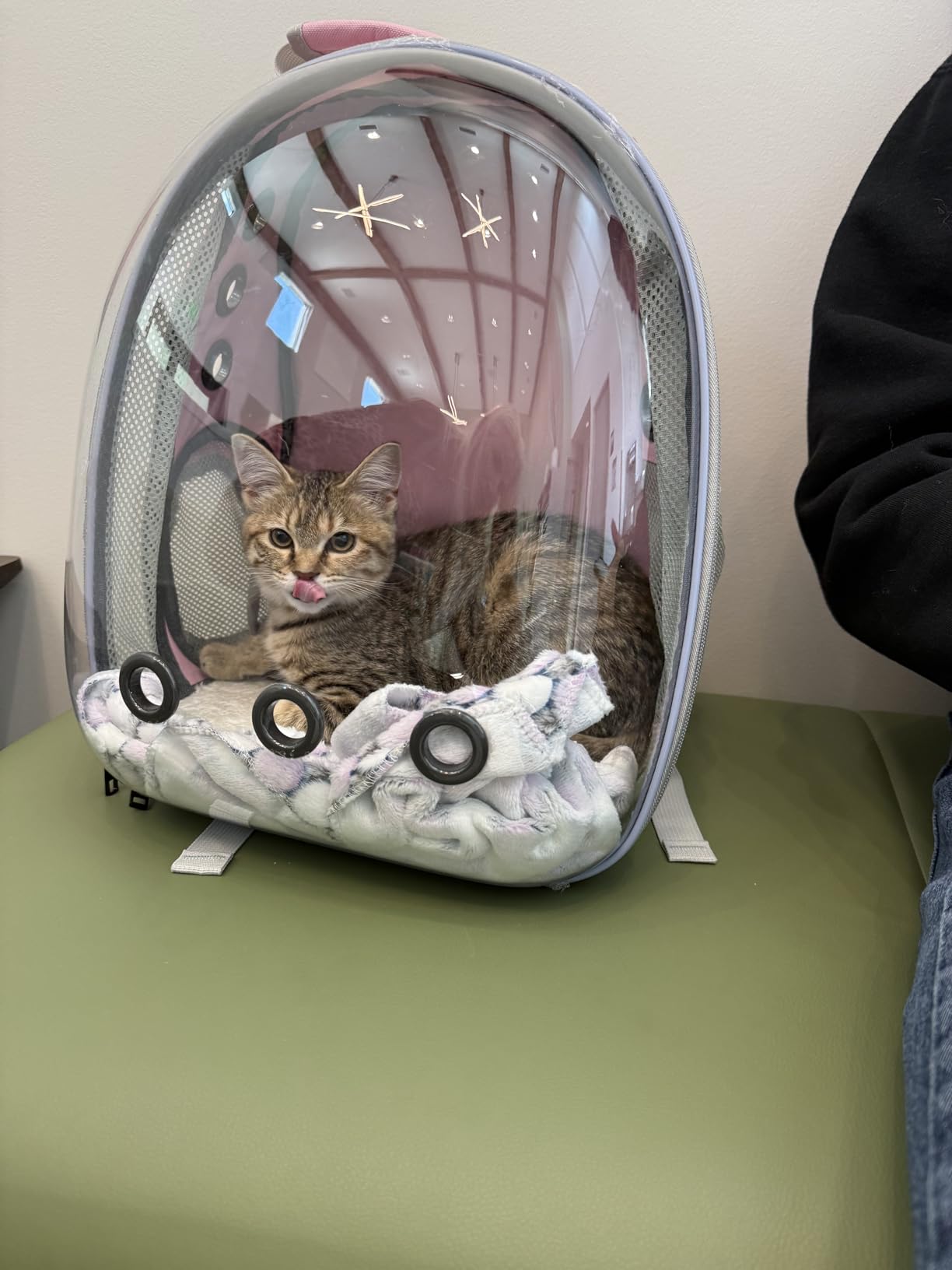 Lollimeow Expandable Bubble Cat Carrier Backpack, Supports up to 16 lbs customer photo 1