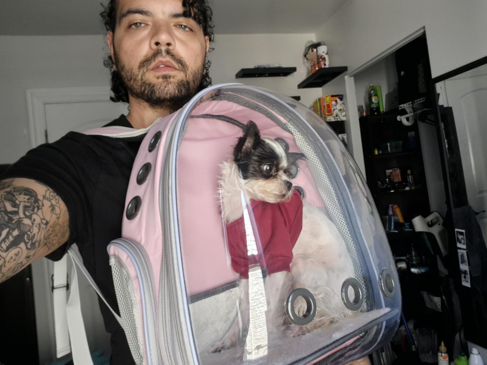Lollimeow Expandable Bubble Cat Carrier Backpack, Supports up to 16 lbs customer photo 2