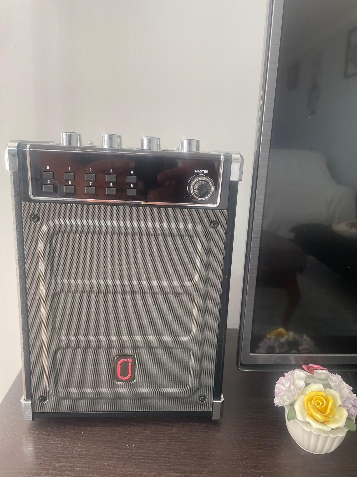 JYX Karaoke Machine with 2 Wireless Microphones, Portable Bass/Treble Bluetooth Speaker with LED Light, Support TWS, AUX in, FM, REC PA System with Remote Control, Supply for Party/Adults/Kids customer photo 2