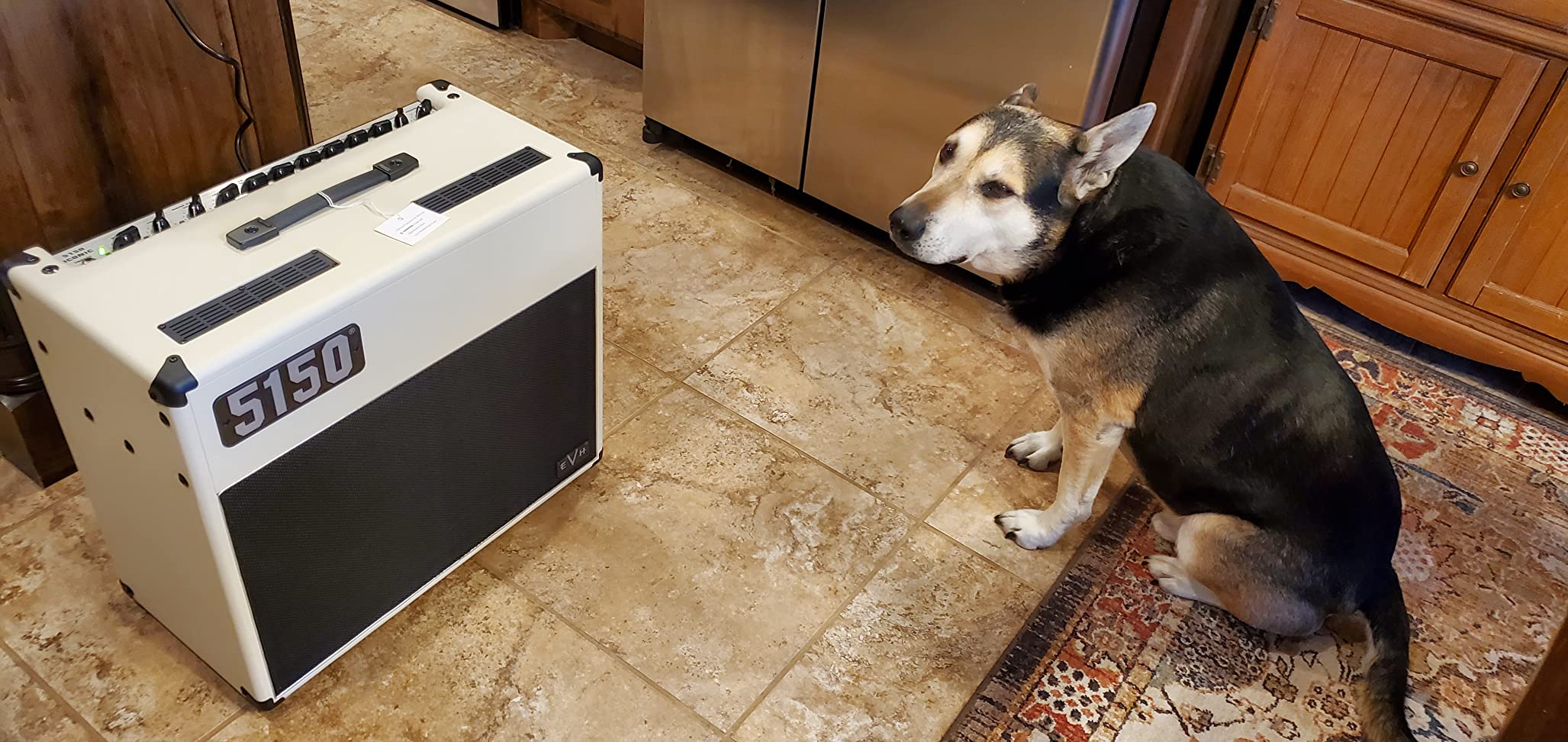 EVH 5150 ICONIC 40W Tube Guitar Amplifier customer photo 1