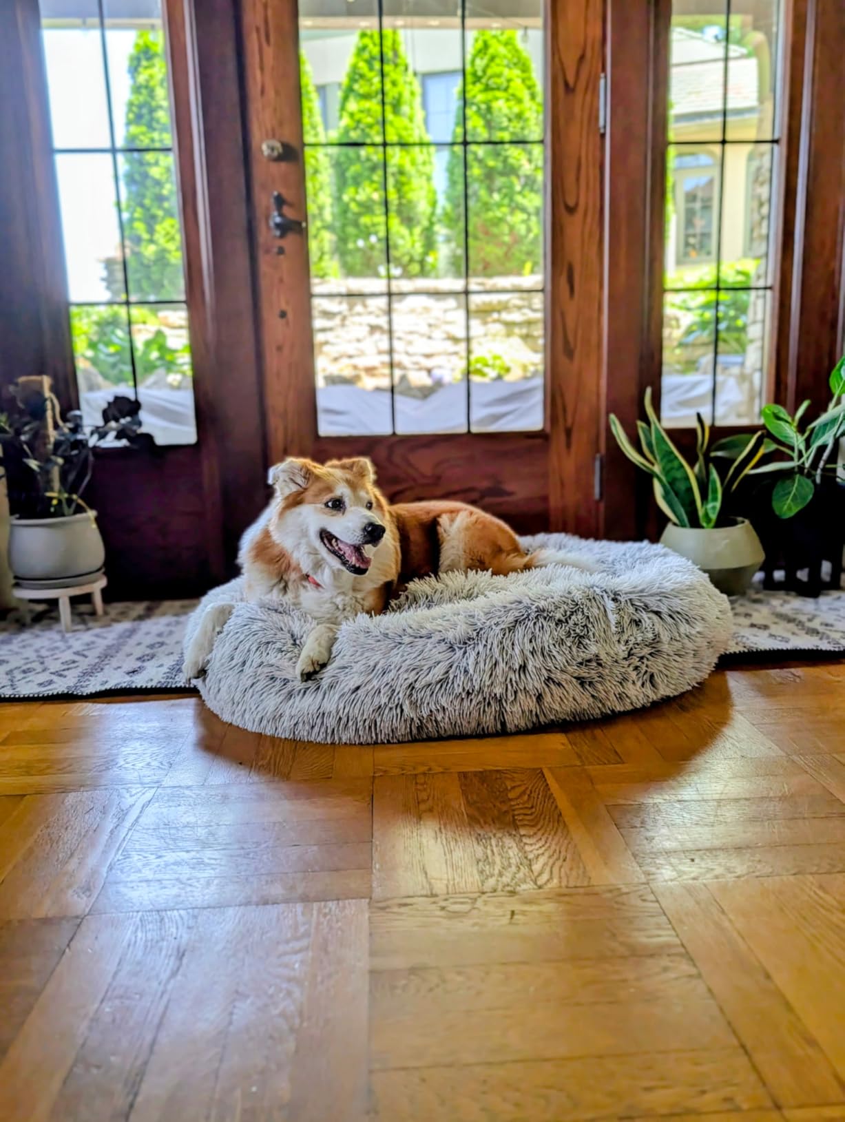 Best Friends by Sheri The Original Calming Donut Dog Bed for Medium Dogs up to 45 lbs, Lux Faux Fur, Oyster, Medium, 30