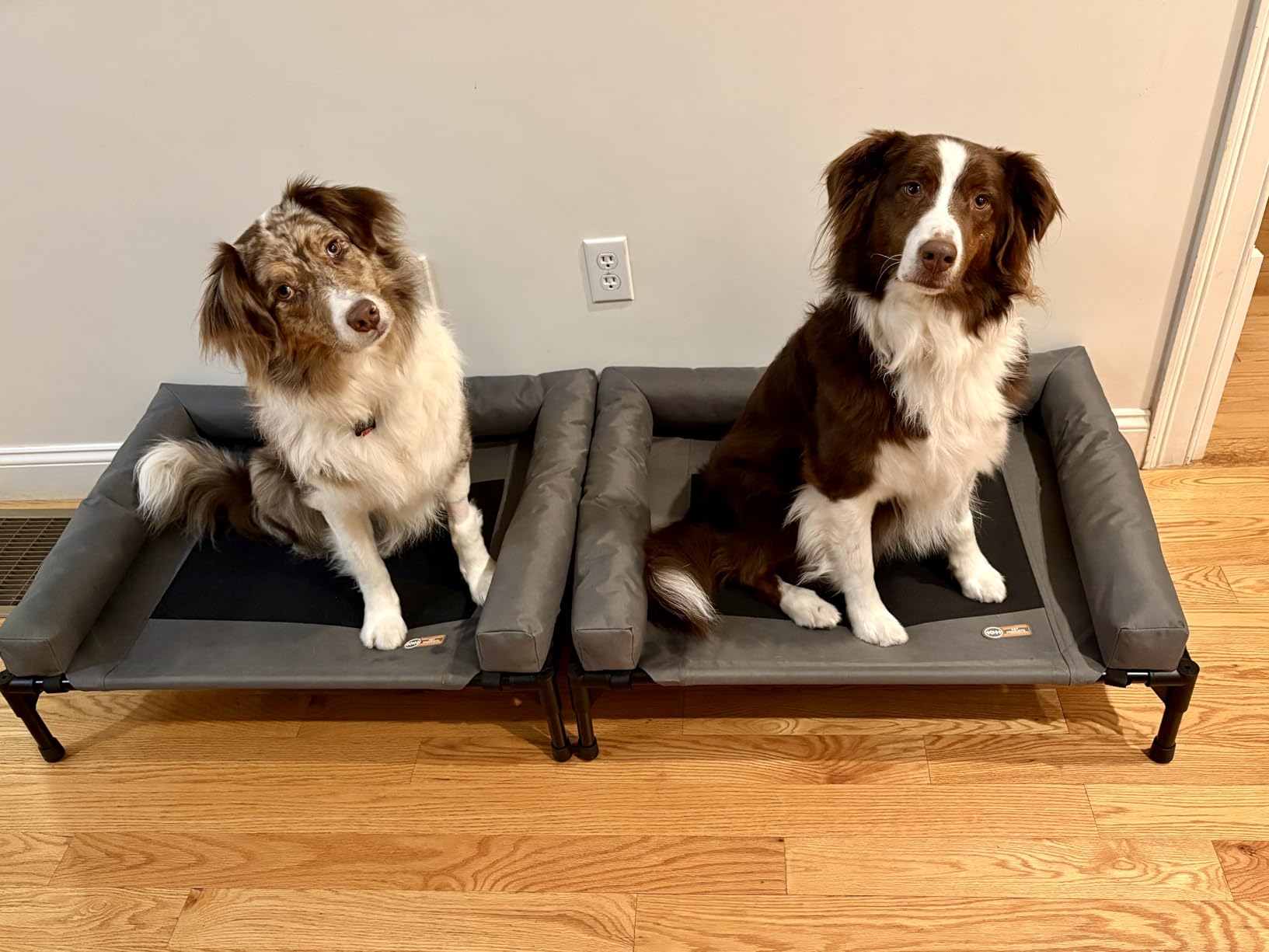 K&H Pet Products Bolster Dog Cot, Cooling Indoor Outdoor Elevated Cot Hammock Dog Bed with Removable Washable Bolsters, Washable Mesh Cover, Raised Metal Frame - Medium 32 X 25in Charcoal customer photo 1