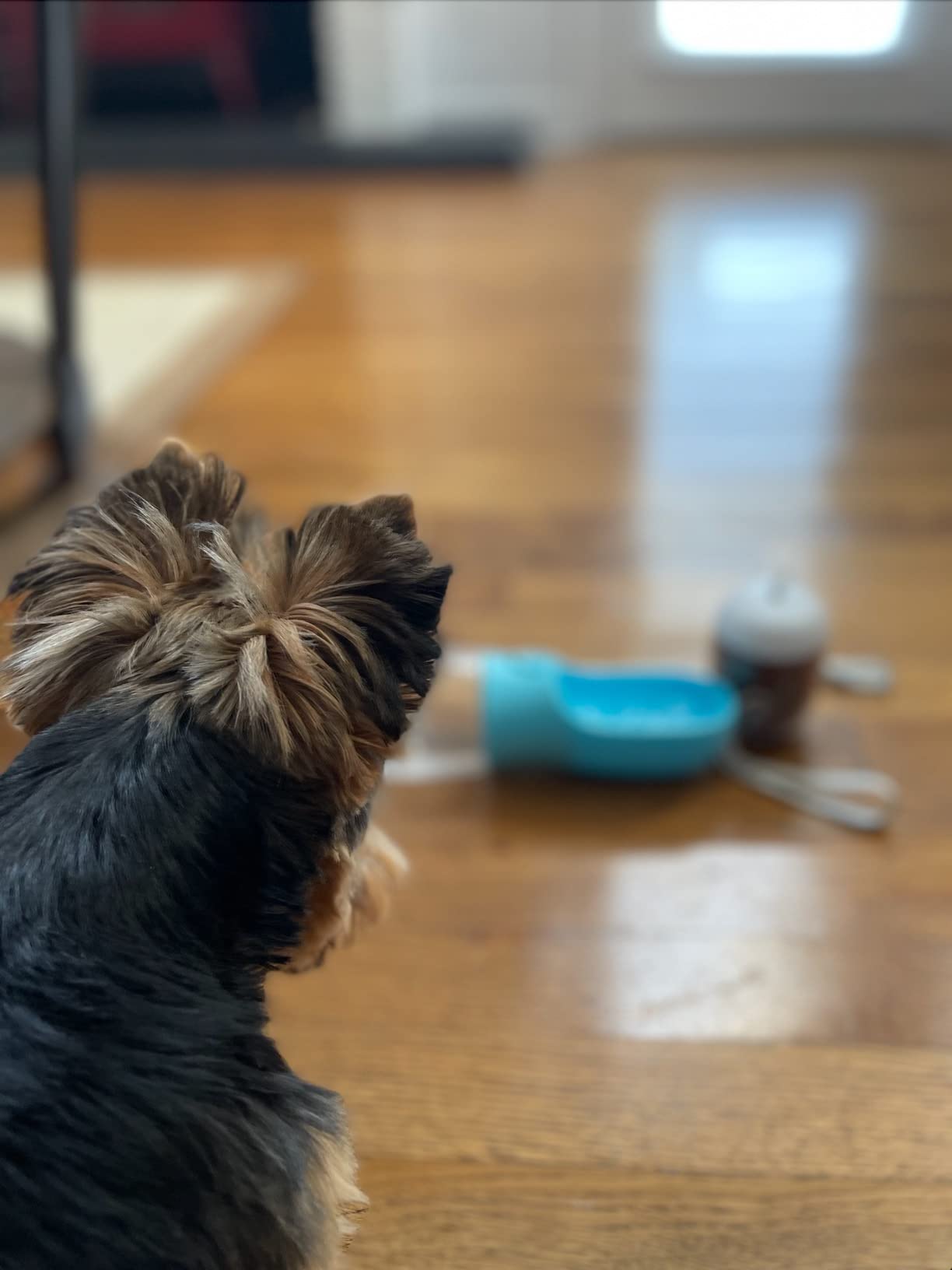 Dog Water Bottle with Food Container, Portable Leak Proof Pet Water Dispenser for Walking Hiking Travel, Puppy Essentials Accessories for Small Large Dogs, Dog Gifts (10oz/15oz/19oz) customer photo 2