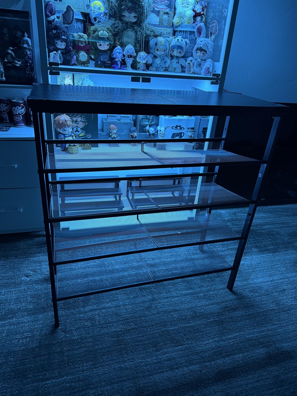 HOOBRO Shoe Rack for Entryway, 5-Tier Shoe Organizer with Adjustable Mesh Shelves, 16-20 Pairs of Shoes, Spacious Floor Mount, Metal, Industrial, Shoe Shelf for Closet, Rustic Brown BF12XJ01 customer photo 2