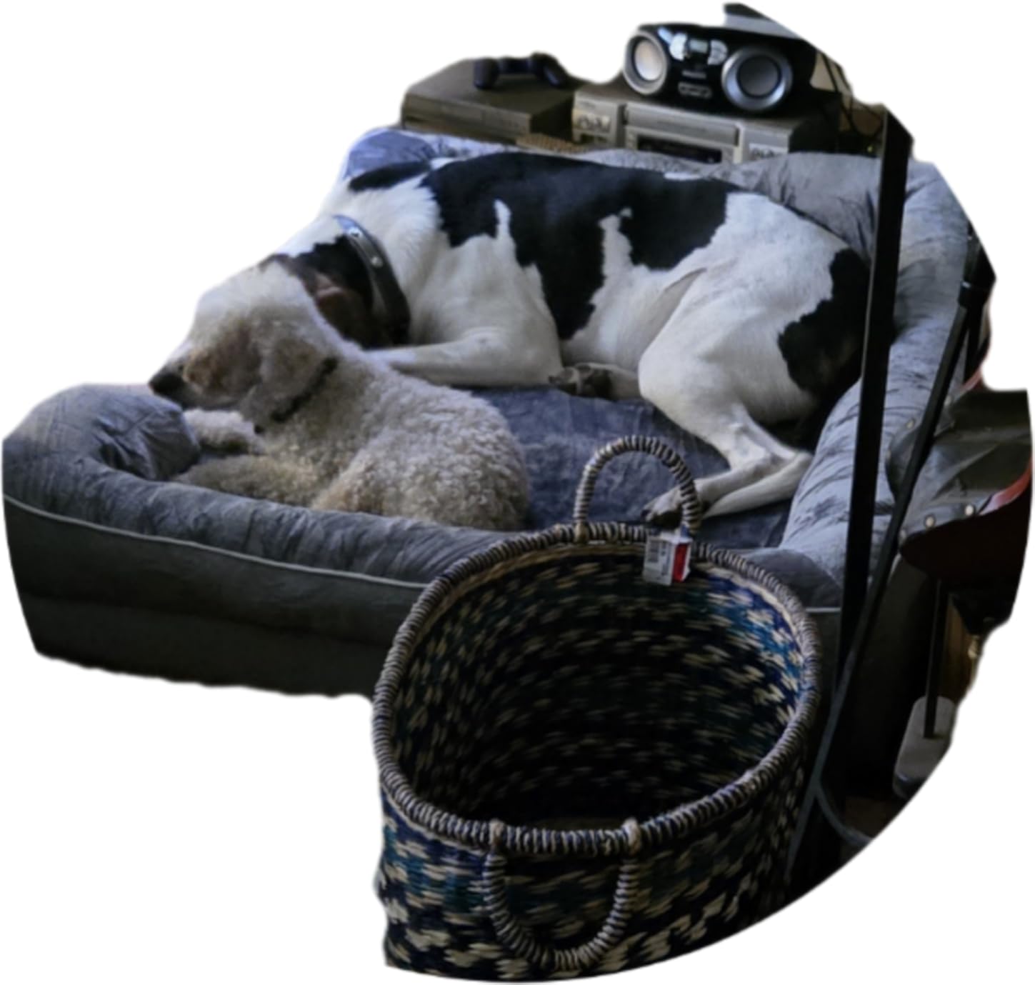 EHEYCIGA Orthopedic Dog Beds Large Sized Dog, Waterproof Memory Foam Pet Bed with Sides, Non-Slip Bottom Large Pet Bed with Washable Removable Cover, Grey customer photo 2