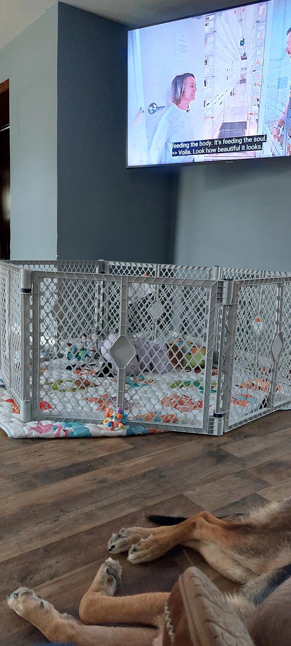 Toddleroo by North States - Superyard Baby Play Yard: Freestanding 6-Panel Baby Playpen - Indoor or Outdoor Use - Made in USA - Encloses Up to 18.5 Square Feet - 26 Inches Tall - Light Gray customer photo 1