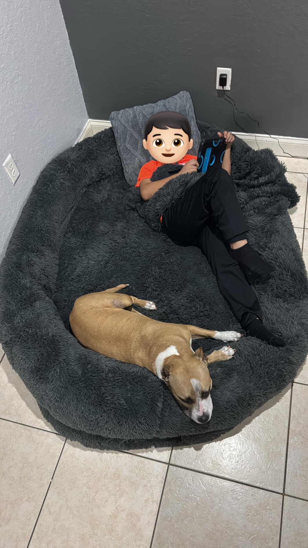 WROS Human Dog Bed - 71