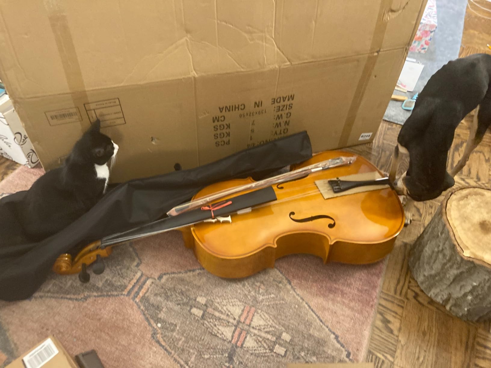 Ktaxon Full-Size Cello, Beginner Cello 4/4, Acoustic Cello Kit with Portable Bag, Bow, Bridge, Rosin, Adults & Kids String Musical Instruments(Nature) customer photo 2