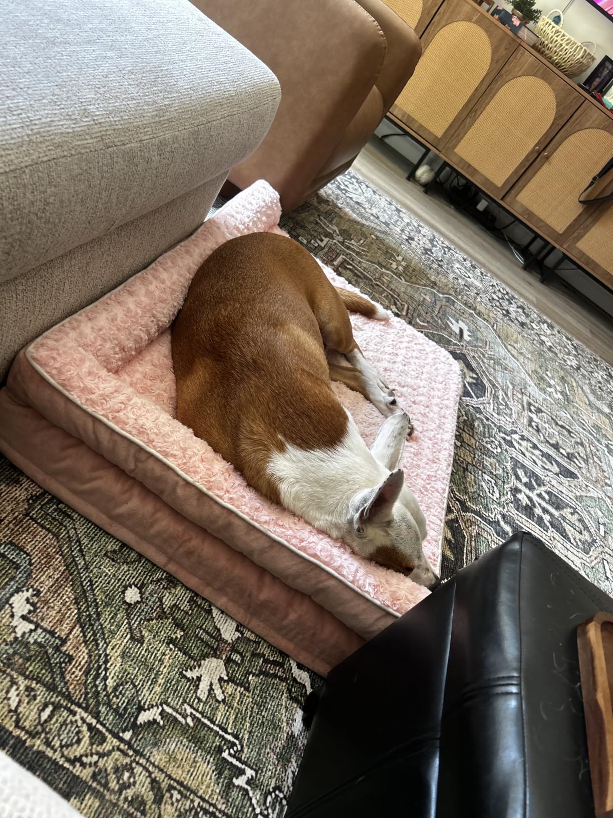 BFPETHOME Orthopedic Dog Beds for Large Dogs - Waterproof Sofa Dog Bed with Removable Washable Cover, Big Pet Bed with Waterproof Lining and Nonskid Bottom, Pet Bed for Large Dogs customer photo 1