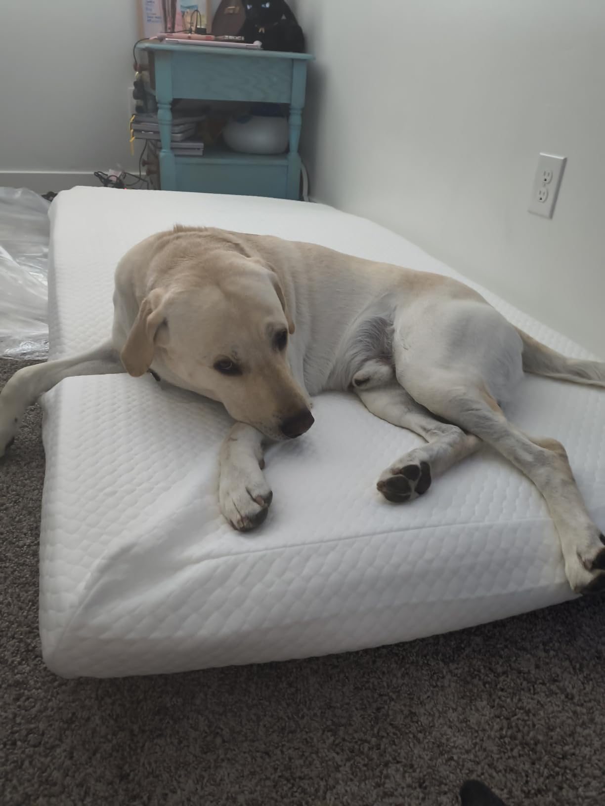 PayLessHere | 5 Inch Twin Mattress | Medium Firm Base Foam Mattress | Removable Washable Zipper Cover | Breathable & Comfortable | White | Bed in a Box | CertiPUR-US Certified customer photo 1