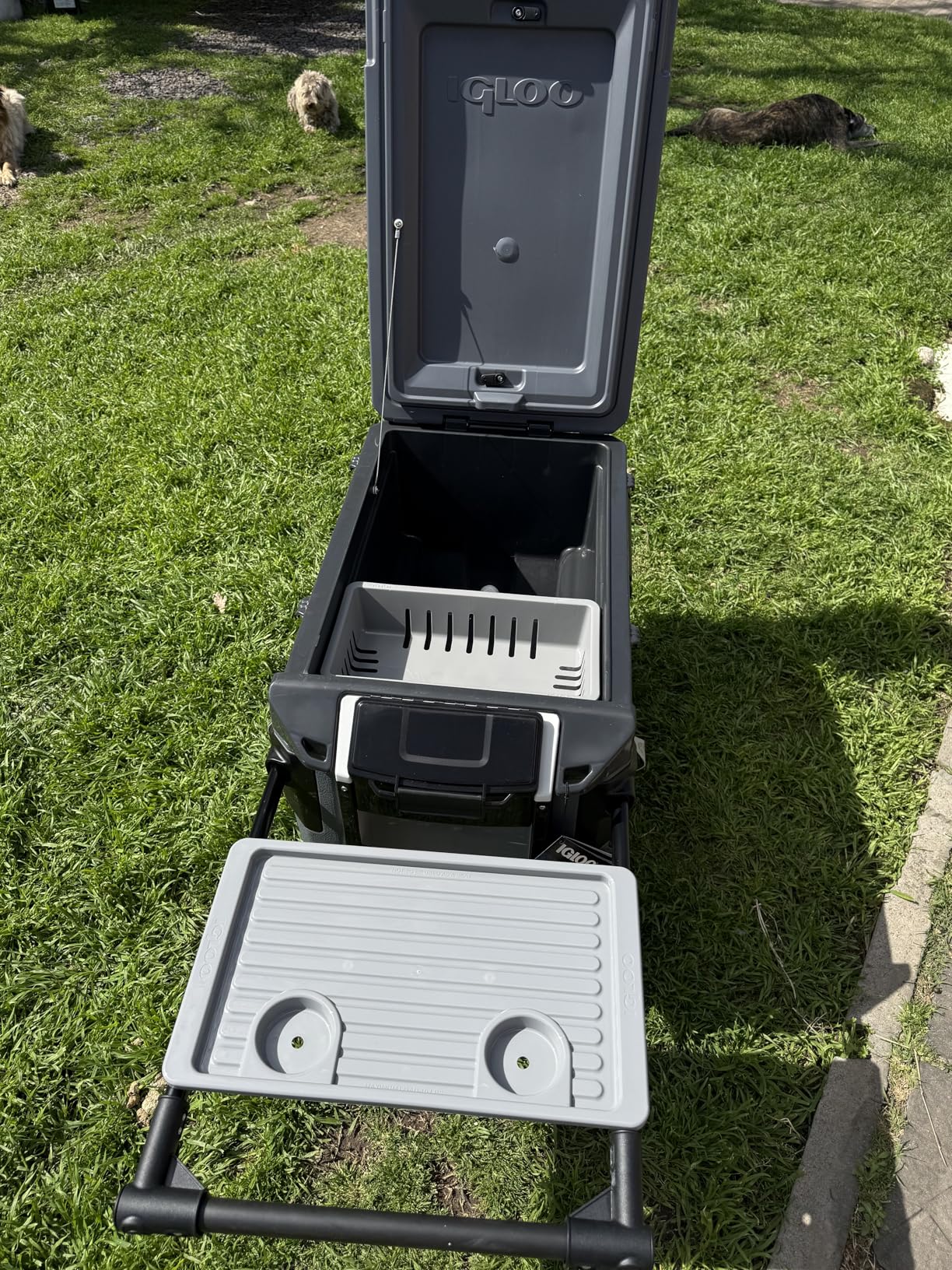 Igloo Trailmate Journey 70Qt Wheeled Cooler, Insulated Hard Shell Ice Chest customer photo 1