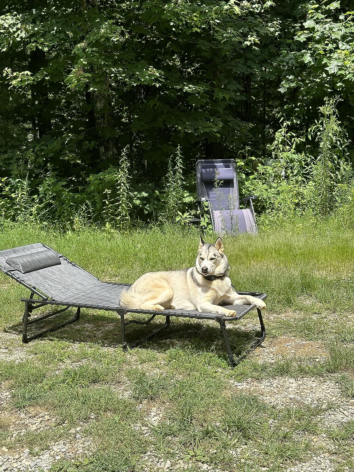 Best Choice Products Patio Chaise Lounge Chair, Portable Outdoor Folding Recliner for Lawn, w/ 8 Positions, Handles, 300lb Capacity - Forest Green customer photo 2