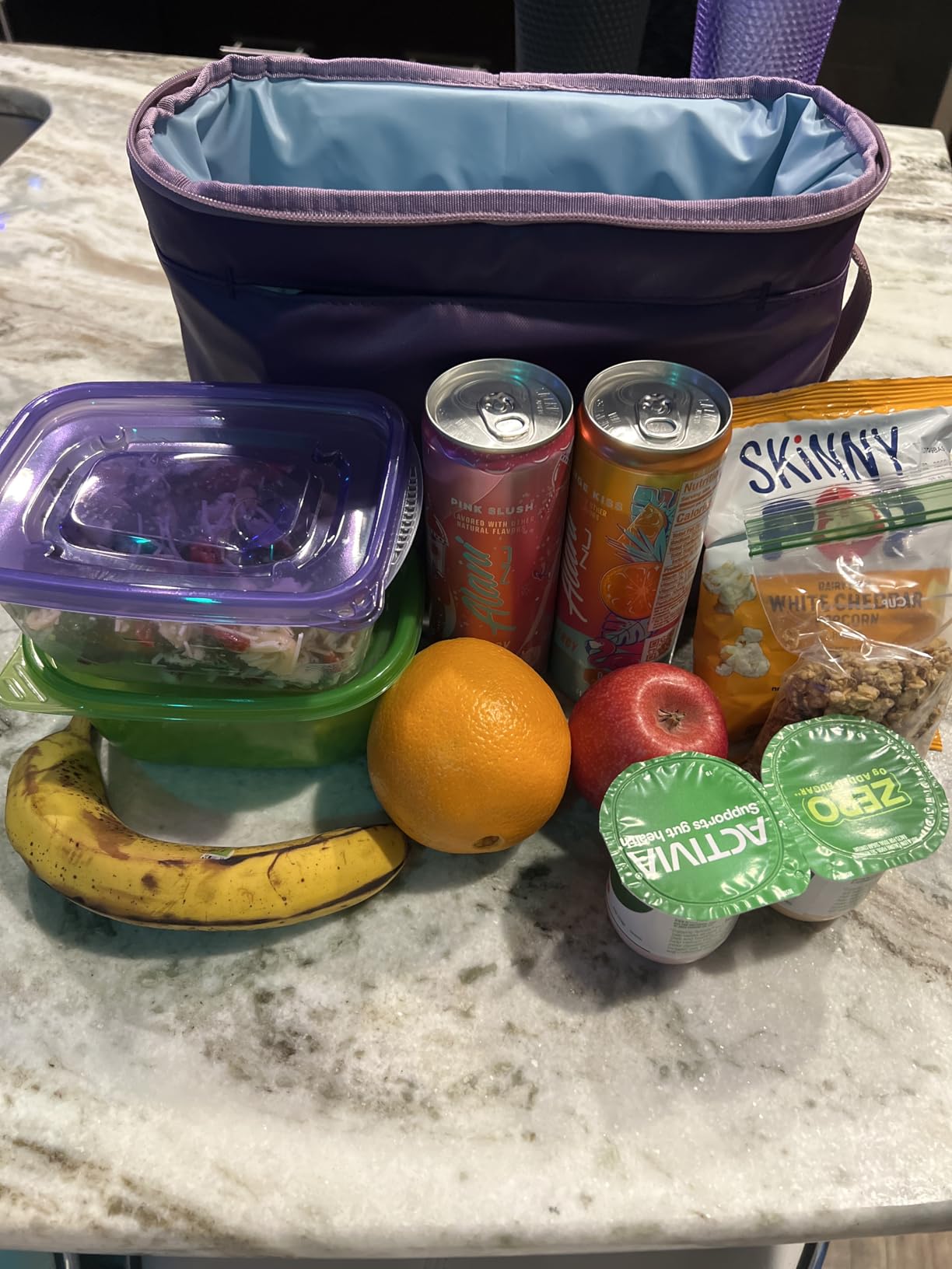 Hydro Flask Lunch Bag, Insulated Adult Lunch Cooler 8L, Agave customer photo 1