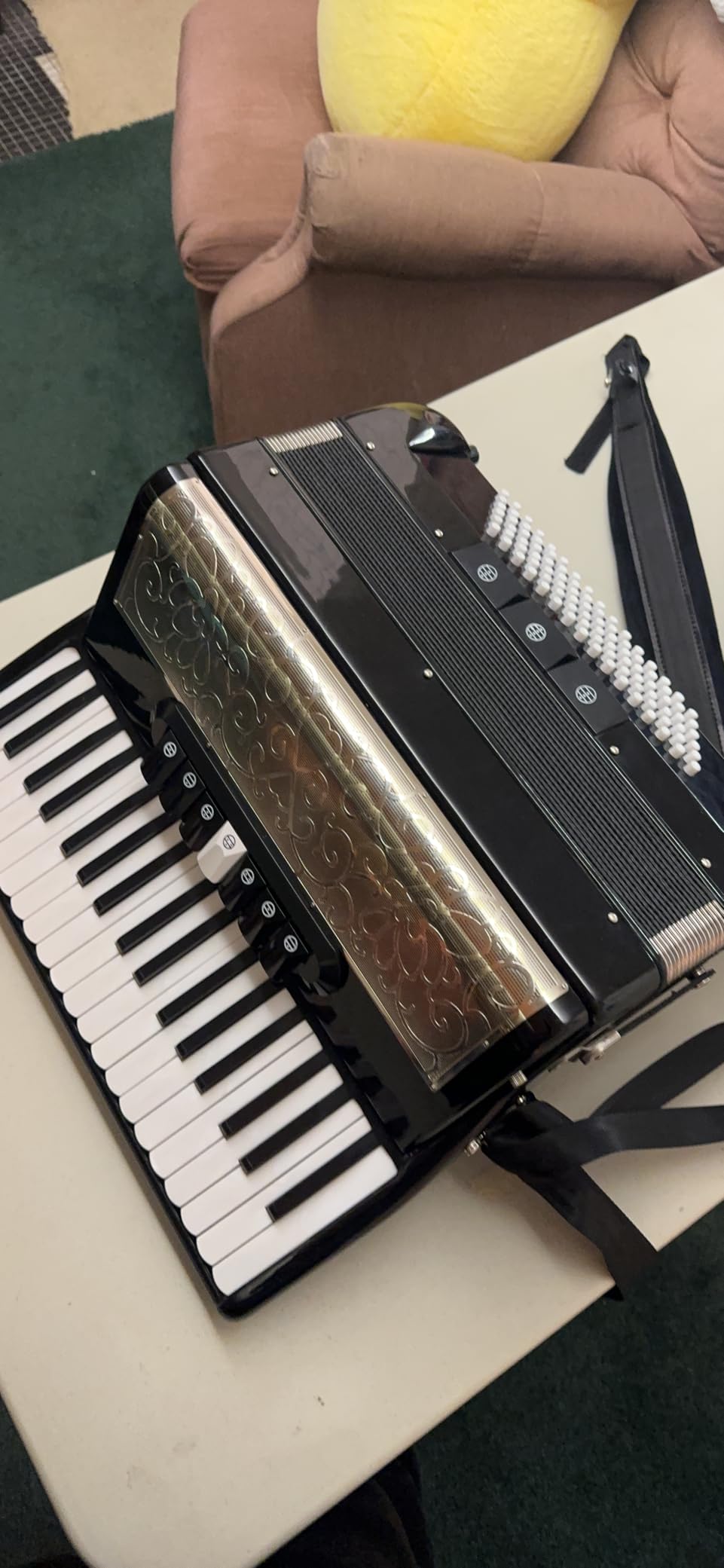 Accordion - 37 Key 96 Bass Professional Model for Beginners to Advanced Players, Includes Adjustable Strap & Backpack - Ideal for Classes, Practice & Live Performance (Black) customer photo 1