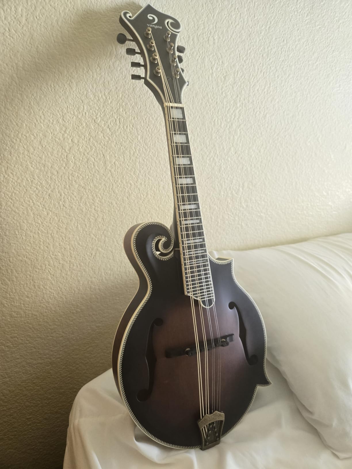 Vangoa F-Style Mandolins Instrument 29-Fret, 8 String Acoustic Mandolin With Protective Plate, for Beginner Adults, Sunburst customer photo 2