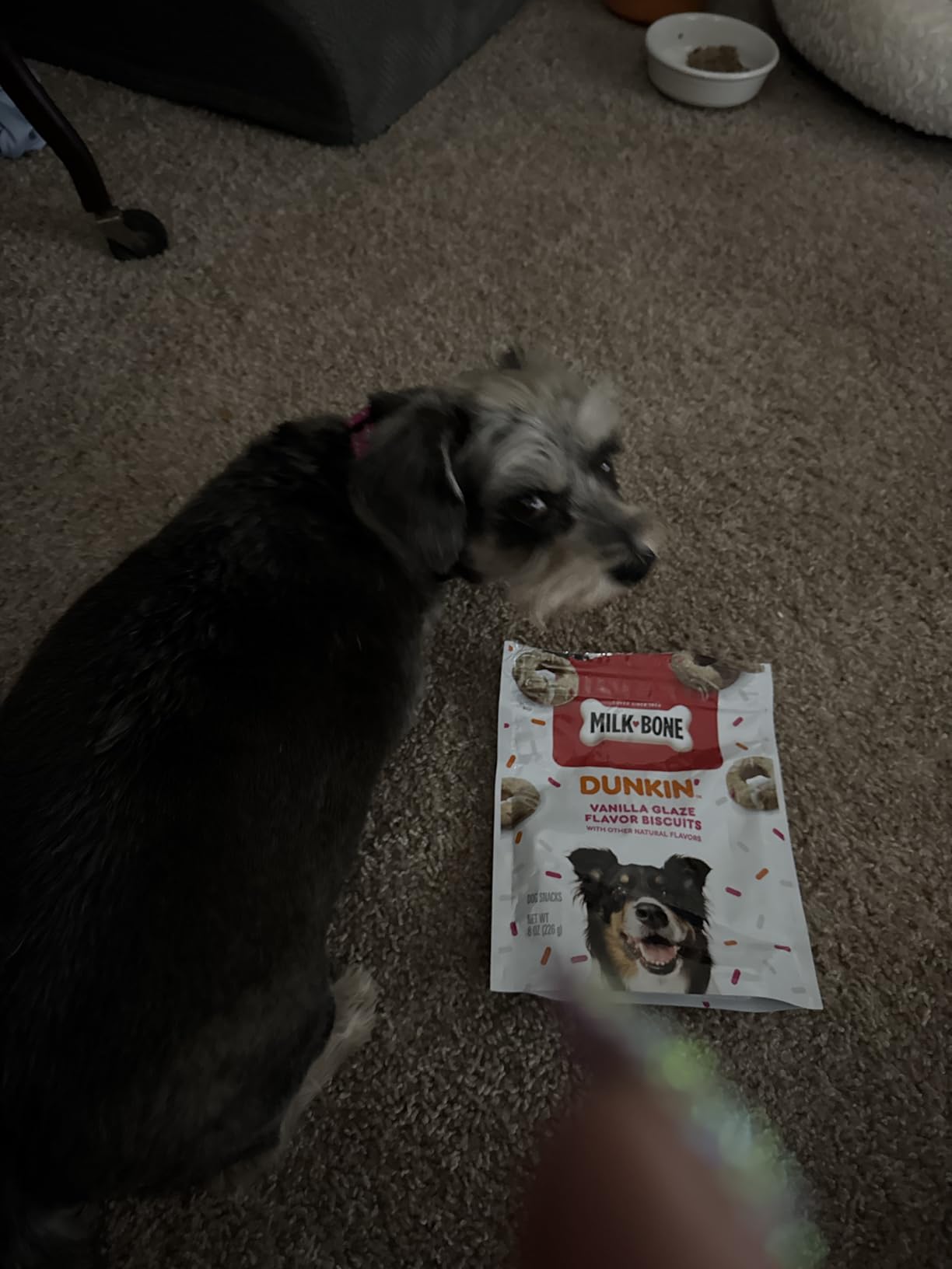 Milk-Bone Dunkin' Vanilla Glaze Flavor Dog Biscuits with Other Natural Flavors, 8 Oz. Bag customer photo 1
