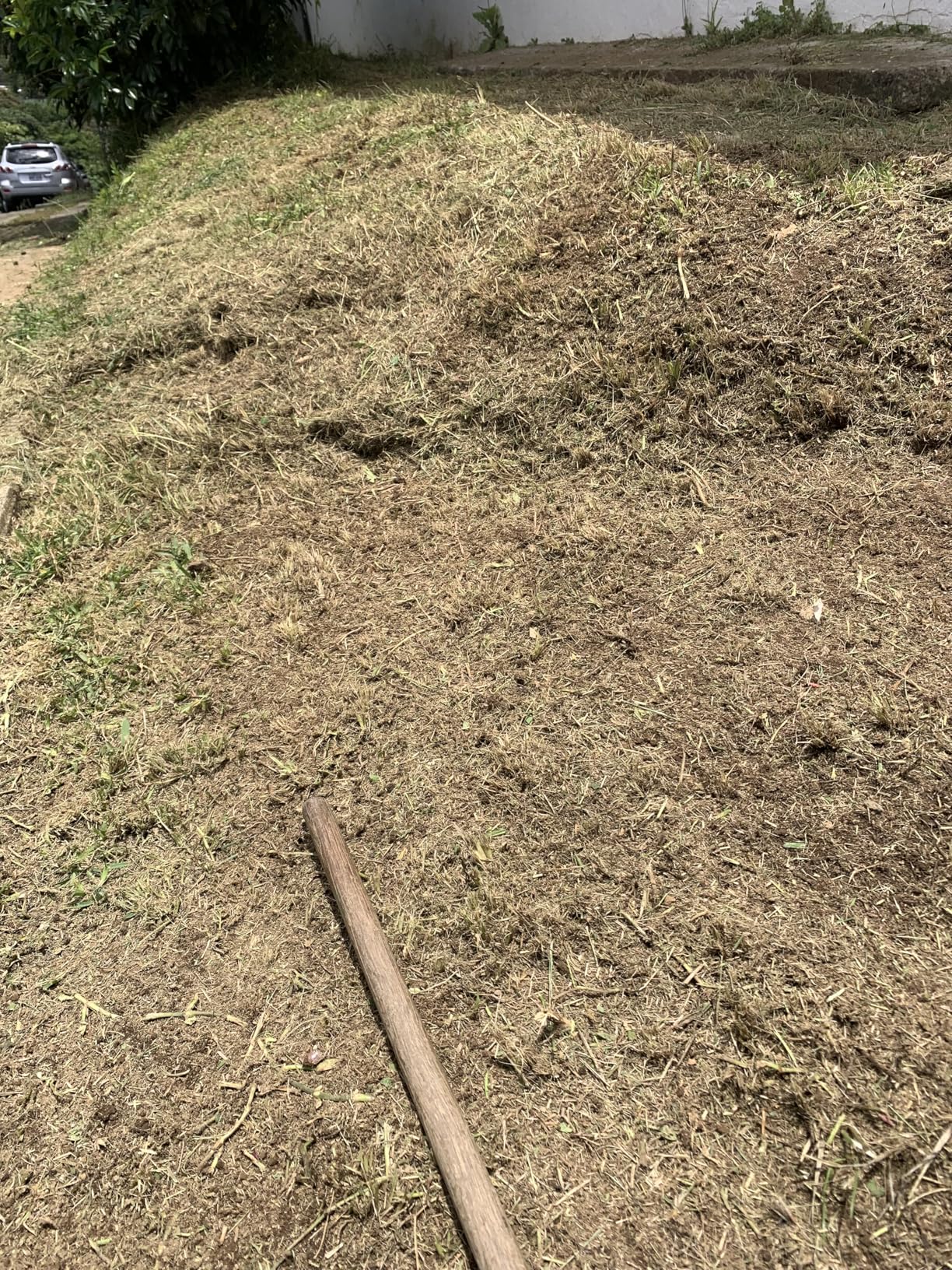 Husqvarna 122LK Grass Trimmer, 22-cc 2-Cycle, 17-inch Straight Shaft Gas Weed Eater with T25 Head, 967628201 customer photo 2
