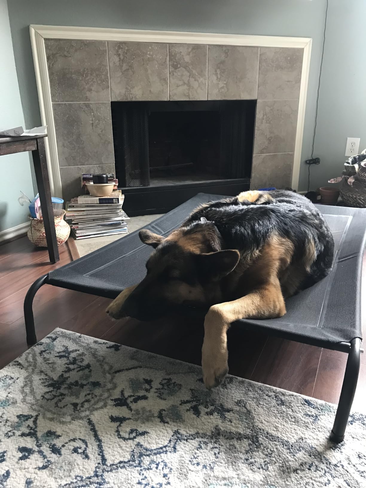 Czpalo Elevated Dog Bed, Raised Outdoor Dog Bed for Large Sized Dogs, Portable Cooling Pet Cot with Breathable & Washable Mesh, Indoor & Outdoor Pet Hammock with Skid-Resistant Feet customer photo 1